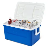 Igloo 48 QT Laguna Ice Chest Cooler - Blue