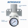 1/4" NPT Air Pressure Regulator,Compressed Air System,Mini Air Regulator AR2000-02,0-150 PSI Gauge