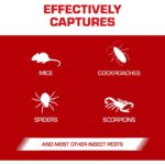 Tomcat Glue Traps Mouse Size with Eugenol for Enhanced Stickiness for Mice, Cockroaches, and Spiders, 6 Traps - Image 4