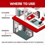 Tomcat Glue Traps Mouse Size with Eugenol for Enhanced Stickiness for Mice, Cockroaches, and Spiders, 6 Traps - Image 5